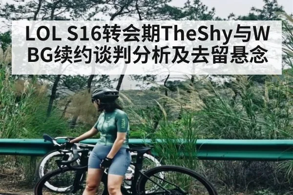 LOL S16转会期TheShy与WBG续约谈判分析及去留悬念